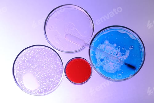 Preview: Petri dishes and pipette with liquid samples on color background, flat lay