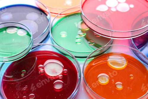 Preview: Biochemistry. Petri dishes with samples on table, closeup