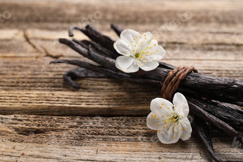 Preview: Vanilla pods and flowers on wooden background, closeup. Space for text