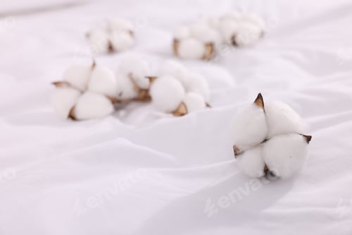 Preview: Cotton flowers on fresh bed linens, closeup