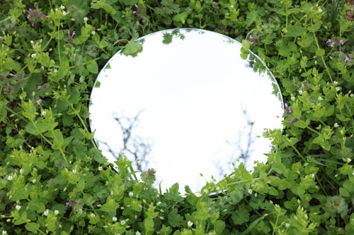 Preview: Round mirror among green plants in meadow reflecting tree branches, above view