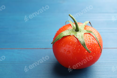 Preview: Ripe tomato with water drops on blue wooden table, closeup. Space for text