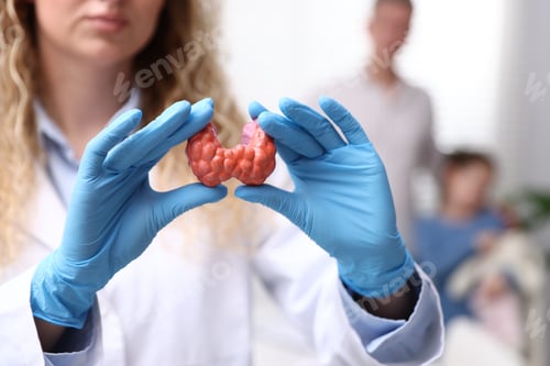 Preview: Endocrinologist in protective gloves with model of thyroid gland and patients indoors, selective foc