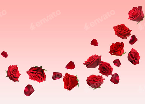 Preview: Vibrant red rose flowers flying against pink gradient background