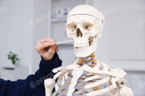 Preview: Teacher demonstrating human skeleton model in classroom, closeup. Anatomy lesson