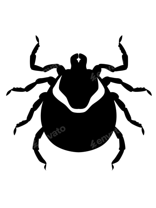 Preview: One tick on white background. Illustration of insect