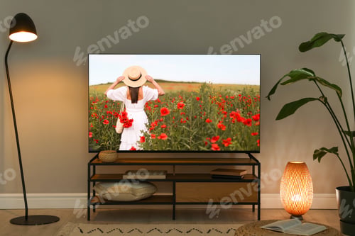 Preview: TV set on console in room. Woman walking among flowers on screen