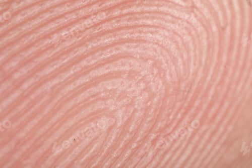 Preview: Texture of normal skin as background, closeup