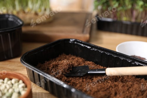Preview: Container with soil, shovel, microgreens seeds on wooden table, closeup