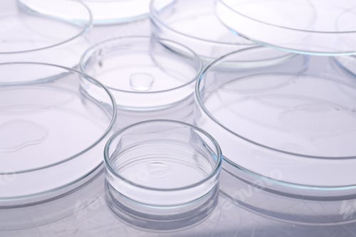 Preview: Biochemistry. Petri dishes with samples on table, closeup