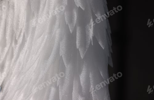 Preview: Beautiful white angel wing on black background, closeup. Space for text