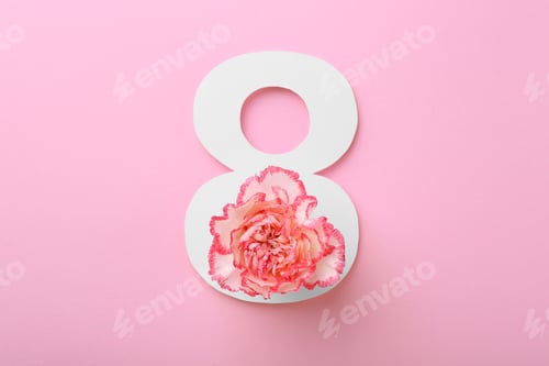 Preview: Paper number 8 and beautiful carnation flower on pink background, top view