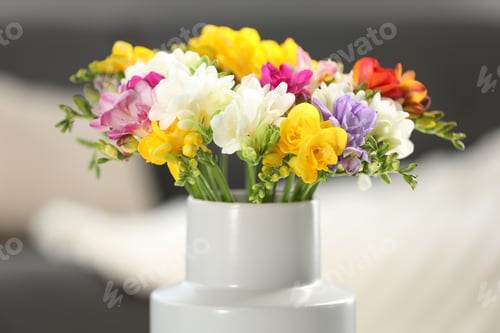 Preview: Beautiful freesia flowers in vase indoors, closeup