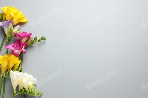 Vista previa: Beautiful freesia flowers on light grey background, flat lay. Space for text