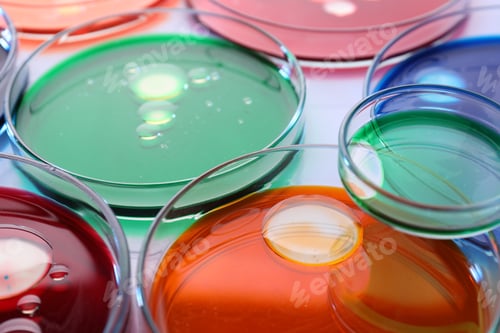Preview: Biochemistry. Petri dishes with samples on white table, closeup