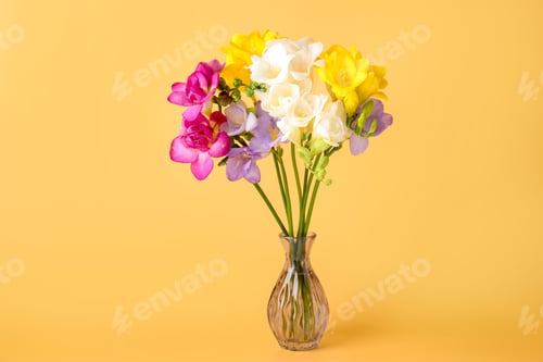 Preview: Beautiful freesia flowers in vase on pale orange background