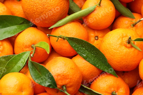 Preview: Many fresh ripe tangerines with green leaves and water drops as background, top view