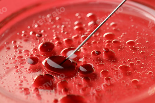 Preview: In vitro fertilization. Needle and petri dish with liquid sample on red background, closeup