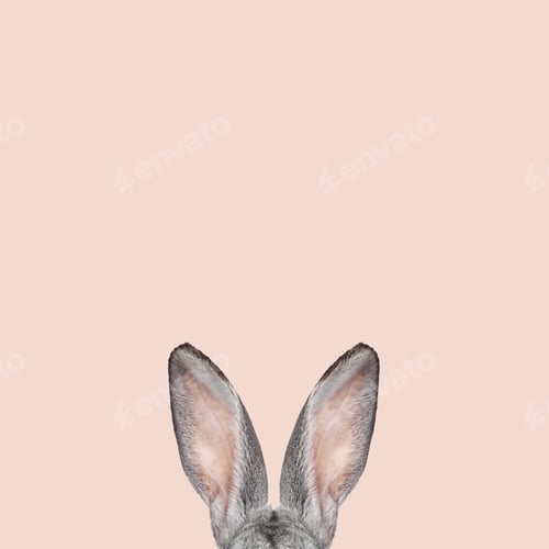 Preview: Fluffy rabbit ears on beige background. Easter bunny