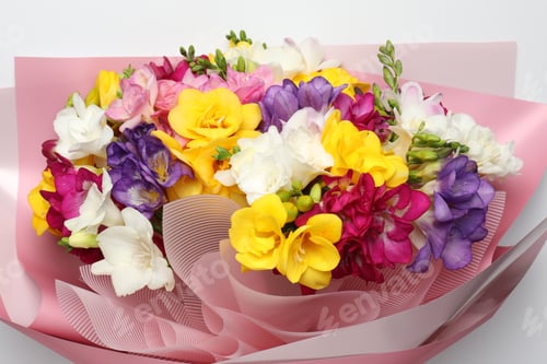 Preview: Beautiful bouquet of colorful freesia flowers on white background, top view