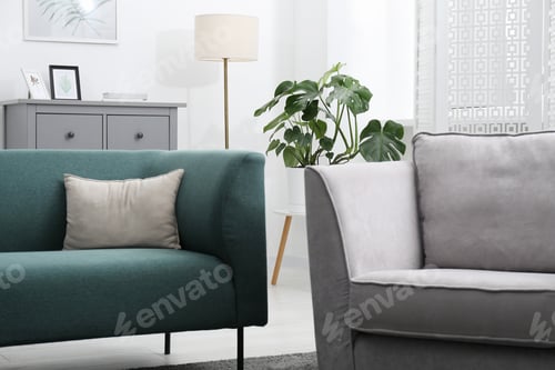 Preview: Monstera houseplant and stylish furniture at home. Interior design