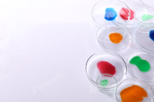 Preview: Biochemistry. Petri dishes with samples on white background, above view. Space for text