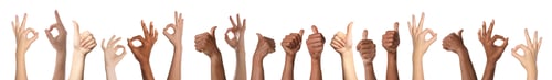 Preview: People showing thumbs-up and ok gestures on white background, closeup of hands. Collection