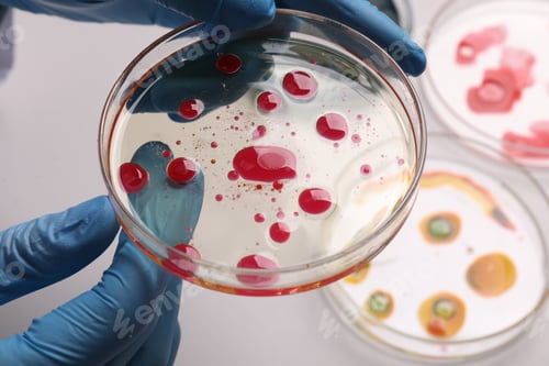 Preview: Biochemistry. Scientist holding petri dish with sample at table, closeup