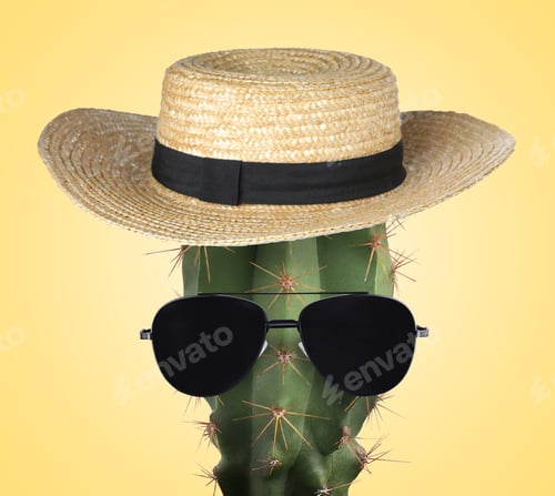 Preview: Cactus with sunglasses and hat against pale orange background