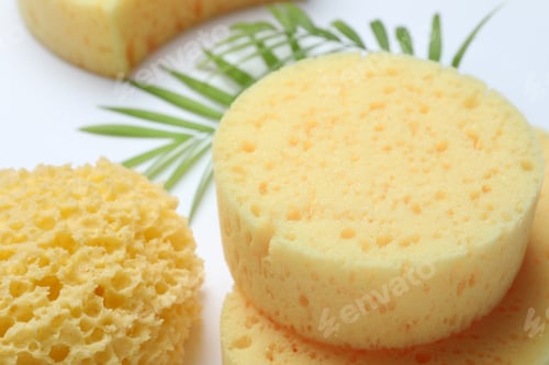 Preview: Natural sponges and leaves on white background, closeup