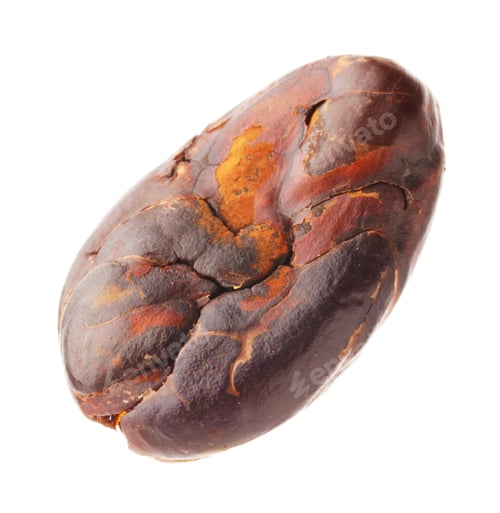 Preview: One natural cocoa bean isolated on white