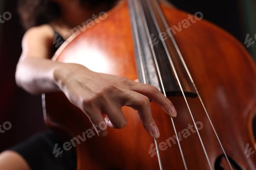 Preview: Woman playing double bass on dark background, low angle view