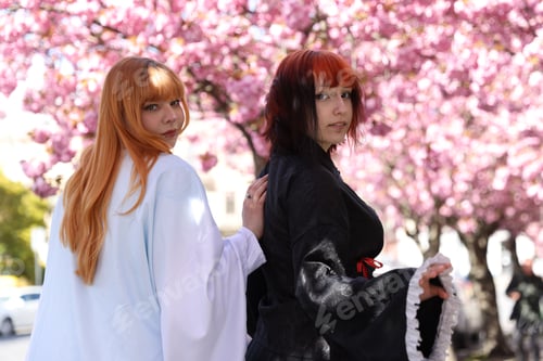 Preview: Beautiful young girls in kimonos posing near blossoming sakura trees outdoors