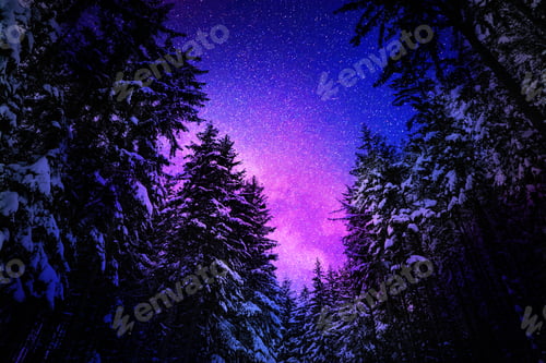 Preview: Beautiful starry sky above snowy trees at night