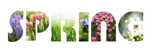 Preview: Hello Spring. Letters with blooming flowers inside on white background. Card or poster design