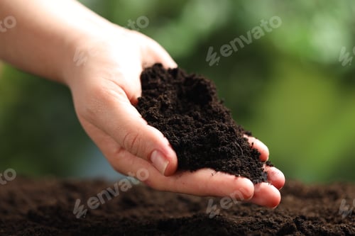 Preview: Woman with fresh soil on blurred background, closeup