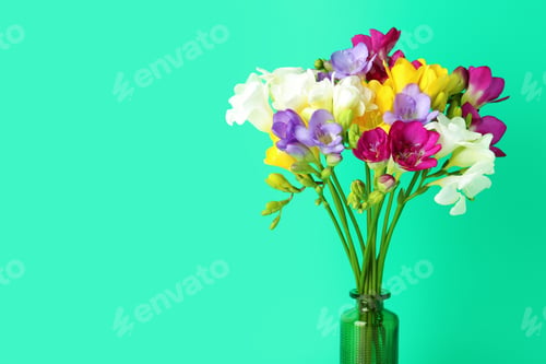 Preview: Vibrant freesia flowers in vase against green background, closeup. Space for text