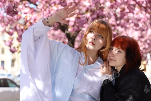 Preview: Beautiful young girls in kimonos posing near blossoming sakura trees outdoors
