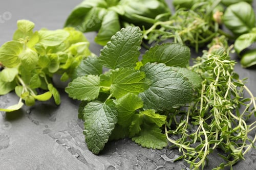 Preview: Different fresh herbs on grey textured table, closeup