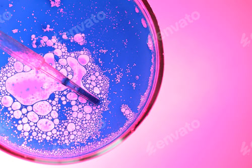 Preview: Dripping liquid from pipette into Petri dish on pink background, top view. Space for text