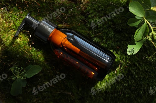 Preview: Bottle of cosmetic oil and plants on green moss, top view