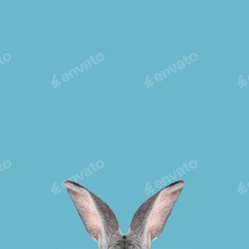 Preview: Fluffy rabbit ears on blue background. Easter bunny