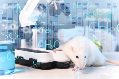 Preview: Rat, microscope and laboratory glassware on table. Chemical formulas and visual DNA sequencing resul