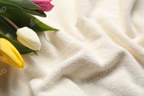 Preview: Beautiful tulips on soft white towel, above view