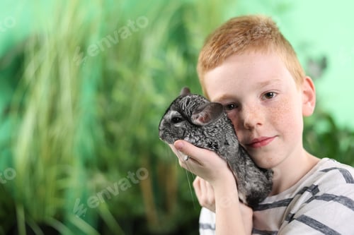 Preview: Child with his cute chinchilla on blurred background, space for text. Adorable pet