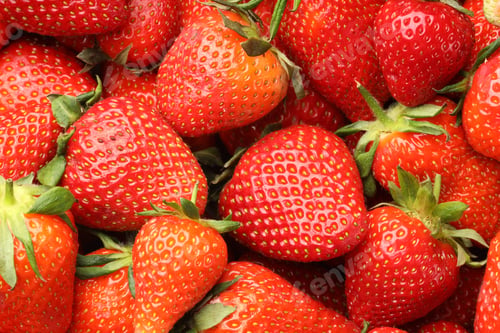 Preview: Many fresh ripe strawberries as background, closeup