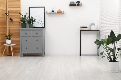 Preview: Stylish room with chest of drawers and houseplants, space for text. interior design