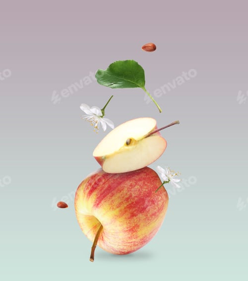 Preview: Fresh apples and flowers in air on grey gradient background