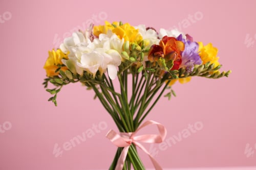 Preview: Bouquet of beautiful freesia flowers on pink background, closeup