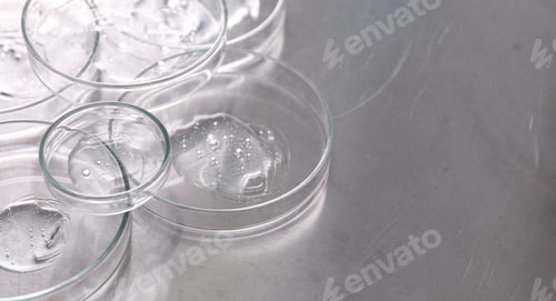 Preview: Biochemistry. Petri dishes with samples on table, closeup. Space for text